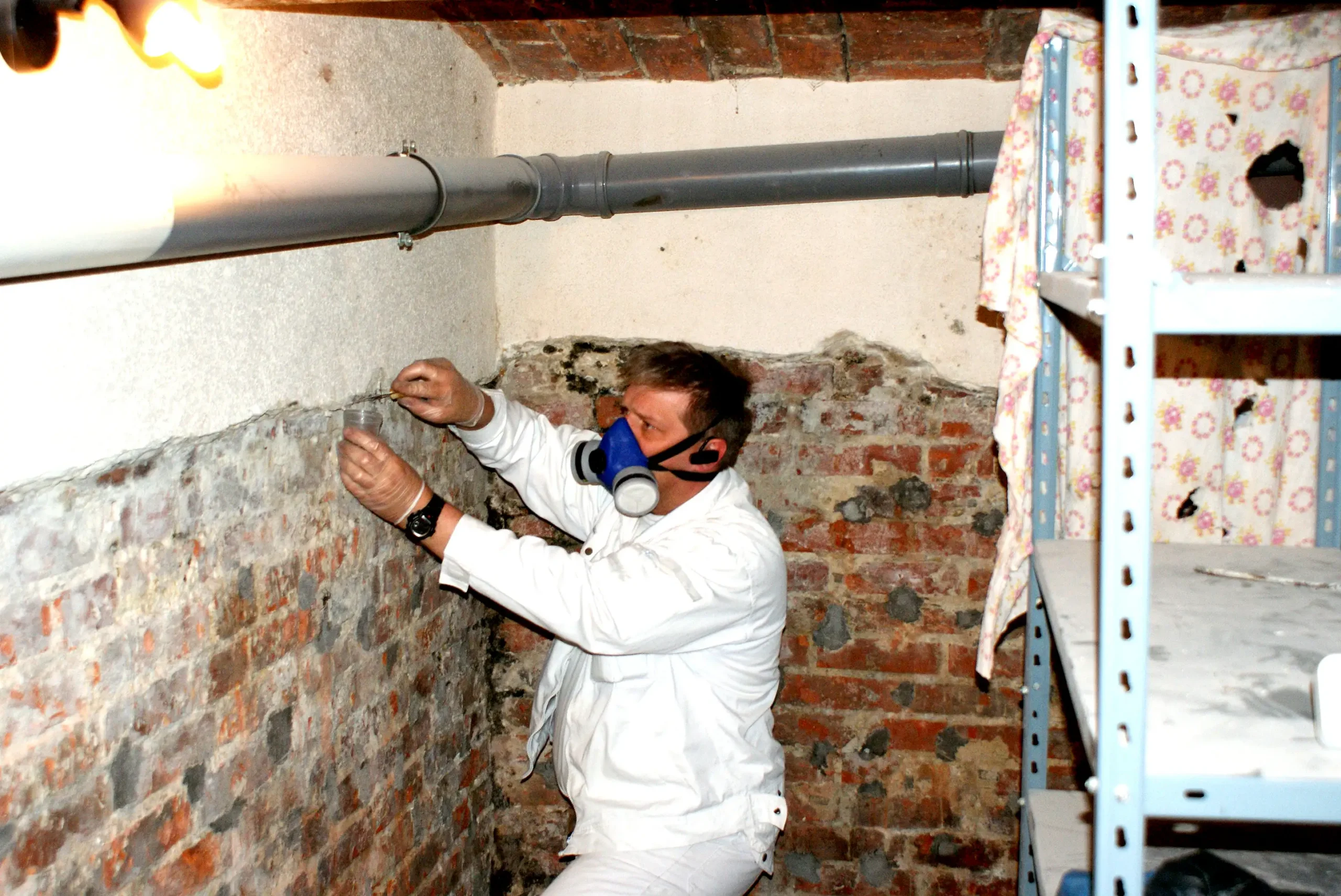 Mykolog wykonujący pomiary wilgotności murów przed przystąpieniem do prac odgrzybiających.