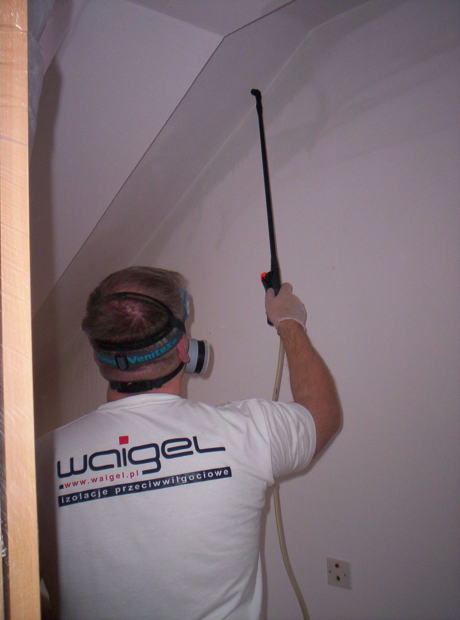 Odgrzybianie ścian we wrocławskim mieszkaniu – widoczna pleśń