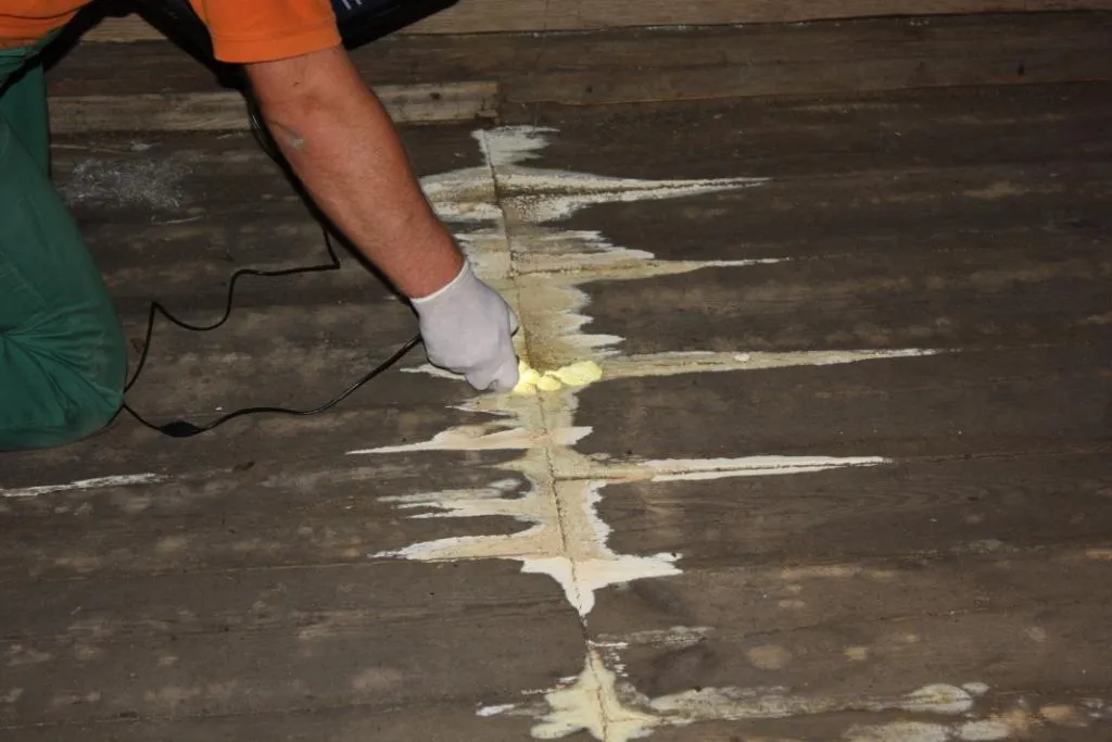 %Odgrzybianie-Wrocław | Odgrzybianie Dolnośląskie%