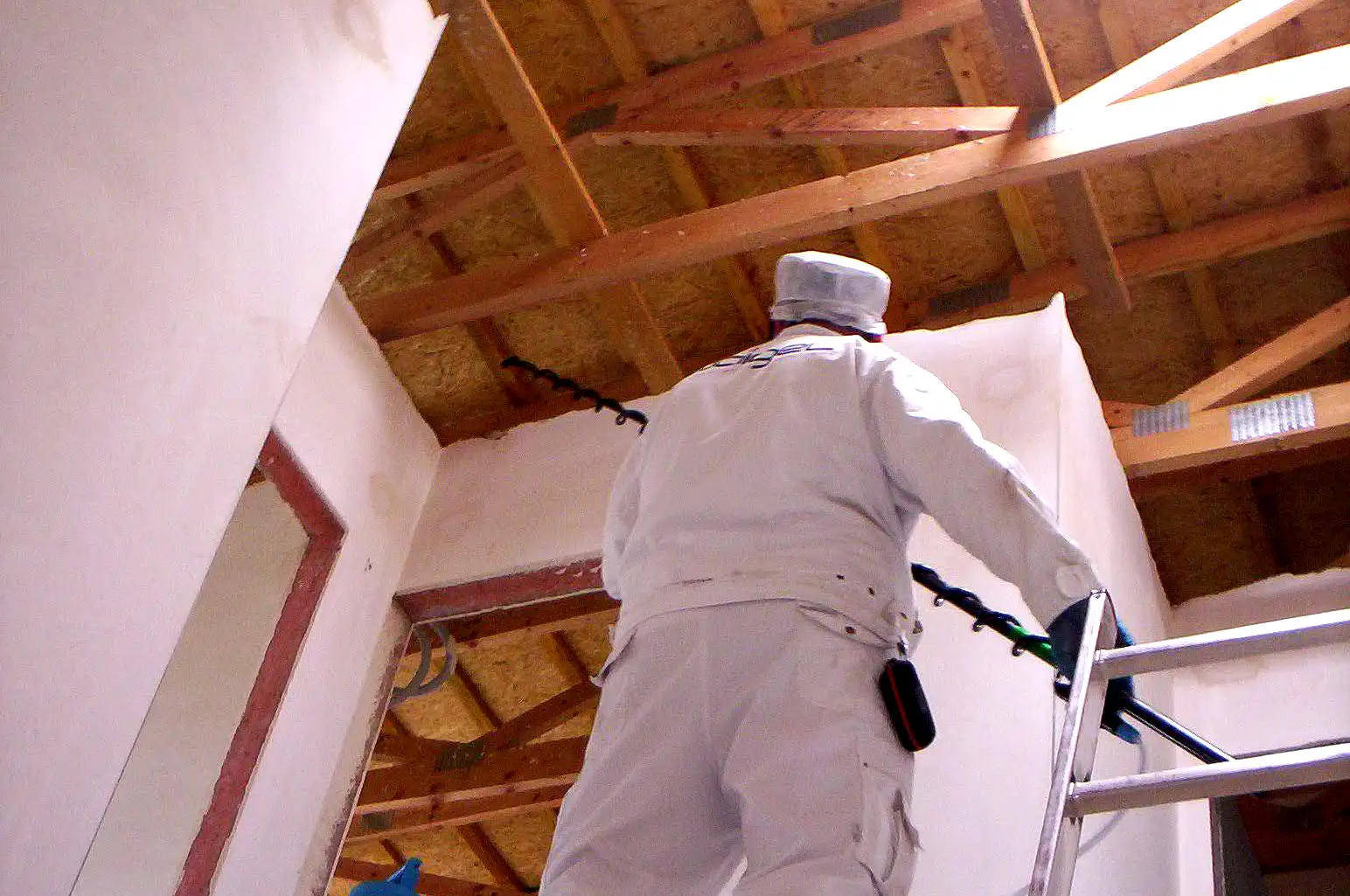 Usuwanie grzyba i pleśni z drewnianych belek stropowych we Wrocławiu