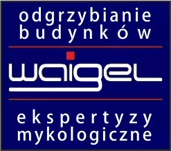Odgrzybianie mieszkań